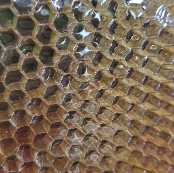 Spring & Fall Honey for sale! - Picture 4 of 15
